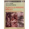 Plante si miresme biblice. Hrana pentru suflet si trup