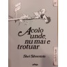 Acolo unde nu mai e trotuar