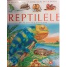 Reptilele pe intelesul copiilor. Enciclopedia animalelor in imagini