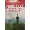 Prietenii mei, iubirile mele